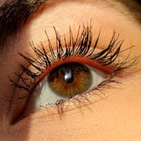 Lynn Valley Optometry: Eye Wellness